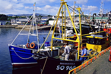 Fishing fleet, Killybegs Port, County Donegal, Ulster, Republic of Ireland, Europe