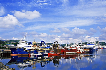 Fishing fleet, Killybegs Port, County Donegal, Ulster, Republic of Ireland, Europe