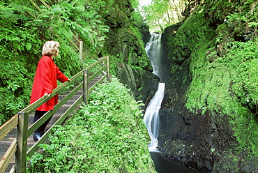 Ess-Na-Laragh waterfall, Glenariff Forest Park, County Antrim, Ulster, Northern Ireland, United Kingdom, Europe