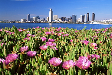 City skyline from Coronado Island, San Diego, California, United States of America, North America