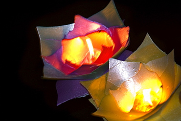 Candles floating in river at night, Lijiang old town, Yunnan, China, Asia