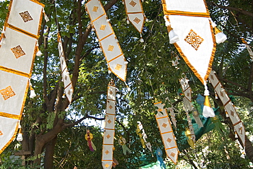 Buddhist flags in temple trees, Chiang Mai, Thailand, Southeast Asia, Asia