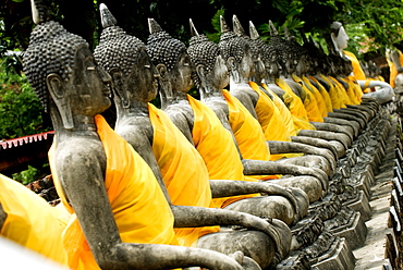 Buddha statues, Ayuthaya, Thailand, Southeast Asia, Asia