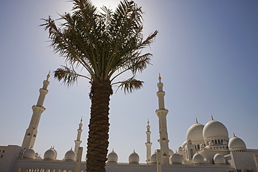 Domes and minarets of the new Sheikh Zayed Bin Sultan Al Nahyan Mosque, Grand Mosque,behind a palm tree, Abu Dhabi, United Arab Emirates, Middle East