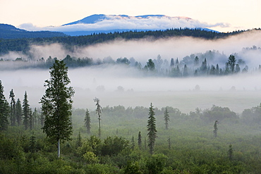 Early morning mist in Wells Grey Provincial Park, British Columbia, Canada, North America