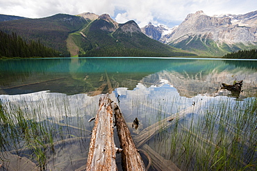 Fallen tree trunks, Emerald Lake, Yoho National Park, UNESCO World Heritage Site, British Columbia, Rocky Mountains, Canada, North America