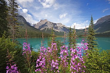 Emerald Lake, Yoho National Park, UNESCO World Heritage Site, British Columbia, Rocky Mountains, Canada, North America