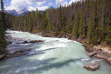 Kicking Horse River near Natural Bridge, Yoho National Park, UNESCO World Heritage Site, British Columbia, Rocky Mountains, Canada, North America