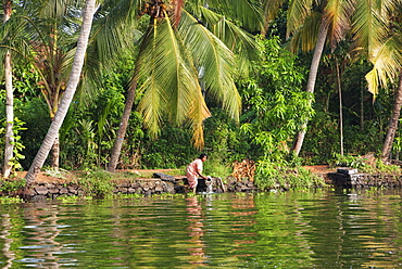 Lady washing pan in the river in the Backwaters, Kerala, India, Asia 