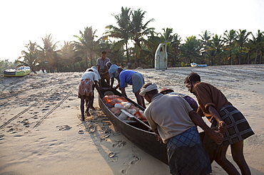 Fishermen pushing traditional boat with catch up the beach at Marari Beach, Kerala, India, Asia 