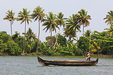 Fisherman in traditional boat on the Kerala Backwaters, Kerala, India, Asia 