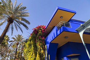 The garden of the Villa Majorelle, Marrakech, Morocco, North Africa, Africa