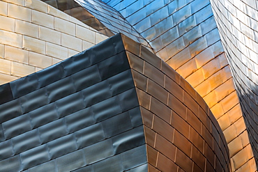 Detail of the titanium clad Guggenheim Museum, designed by Frank Gehry, Bilbao, Biscay (Vizcaya), Basque Country (Euskadi), Spain, Europe