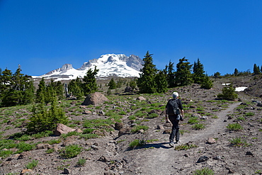 Lady hiker walking on a trail on Mount Hood, part of the Cascade Range, Pacific Northwest region, Oregon, United States of America, North America