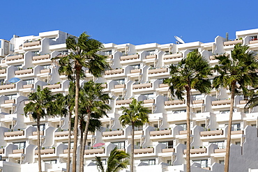 Apartment block and palm trees, overlooking Playa del Matorral, at Morro Jable, on the volcanic island of Fuerteventura, Canary Islands, Spain, Atlantic, Europe