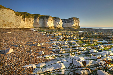 Selwicks Bay, Flamborough, East Yorkshire, England, United Kingdom, Europe