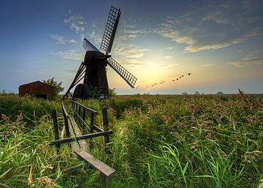 Autumn dusk at Herringfleet, Suffolk, England, United Kingdom, Europe