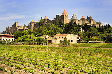 Walled and turreted fortress of La Cite, Carcassonne, UNESCO World Heritage Site, Languedoc, France, Europe