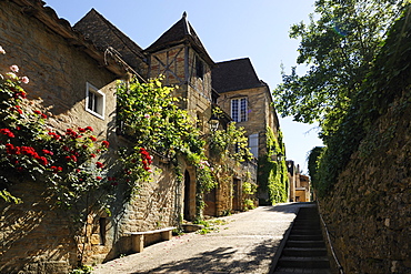 Medieval street in the old town, Sarlat, Sarlat le Caneda, Dordogne, France, Europe