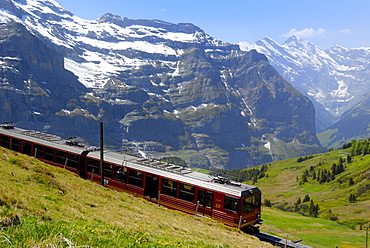 Train for Jungfraujoch, Kleine Scheidegg, Bernese Oberland, Swiss Alps, Switzerland, Europe