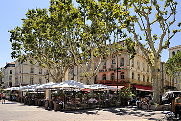 Alfresco restaurants, Place de L'Horloge, Avignon, Provence, France, Europe