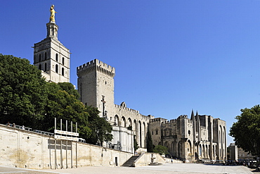 Notre Dame des Doms Cathedral and Palais des Papes (Papal Palace), UNESCO World Heritage Site, Avignon, Provence, France, Europe