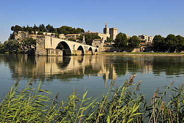 Pont Saint-Benezet and Avignon city viewed from across the River Rhone, Avignon, Provence, France, Europe