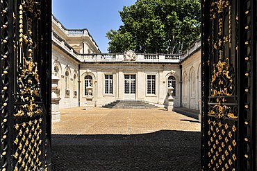 The Musee Calvet, Museum of Fine Arts and Archaeology, Avignon, Provence, France, Europe