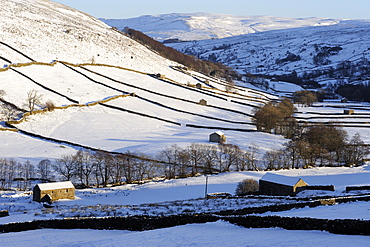 Stone barns in a winter landscape, Swaledale, Yorkshire Dales National Park, North Yorkshire, England, United Kingdom, Europe