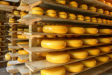 Cheese warehouse, Zuiderzee open air museum, Lake Ijssel, Enkhuizen, North Holland, Netherlands, Europe