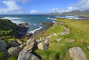 Ballydonegan Bay, Ring of Beara, Beara Peninsular, Wild Atlantic Way, County Cork, Munster, Republic of Ireland, Europe