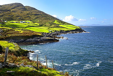 Coastal View, Ring of Beara, Beara Peninsular, Wild Atlantic Way, County Cork, Munster, Republic of Ireland, Europe