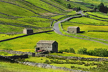 Meadows with field barns, Swaledale, Yorkshire Dales National Park, North Yorkshire, England, United Kingdom, Europe