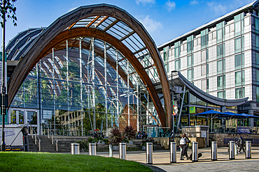 The Winter Garden, which is one of the largest temperate glasshouses to be built in the UK, and the largest urban glasshouse anywhere in Europe, Surrey Street, Heart of the City Quarter,