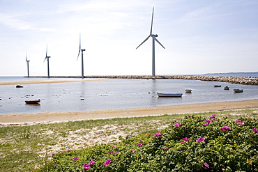 Wind farm, Ebeltoft, Denmark, Scandinavia, Europe