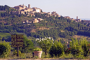 Montepulciano, Val d'Orcia, Tuscany, Italy, Europe