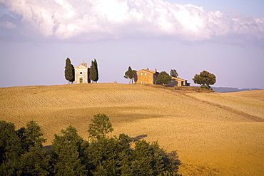 Near Pienza, Val d'Orcia, Tuscany, Italy, Europe