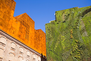 Vertical garden by Patrick Blanc, Caixa Forum foundation, Madrid, Spain, Europe