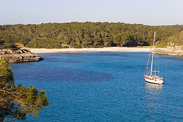 Natural park Cala Mondrago, Santanyi, Majorca, Balearic Islands, Spain, Mediterranean, Europe