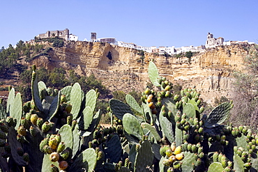 Arcos de la Frontera, one of the white villages, Andalucia, Spain, Europe