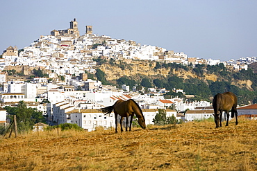 Arcos de la Frontera, one of the white villages, Andalucia, Spain, Europe