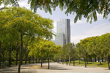 Vila Olimpica district, Barcelona, Catalonia, Spain, Europe