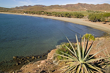 Genoveses Beach, Cabo de Gata, Almeria, Andalucia, Spain, Europe