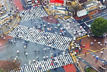 Aerial view of crowds crossing the famous Shibuya Crossing crosswalks at the centre of Shibuya's fashionable shopping and entertainment district, Shibuya, Tokyo, Japan, Asia