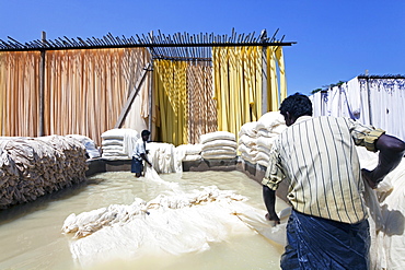 Bleaching pool, Sari garment factory, Rajasthan, India, Asia