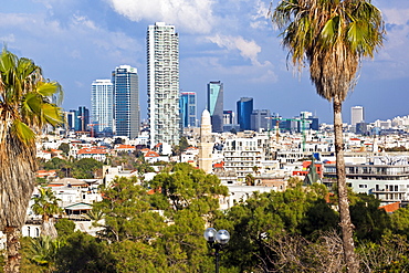 Downtown buildings viewed from HaPisgah Gardens (The Summit Garden), Jaffa, Tel Aviv, Israel, Middle East