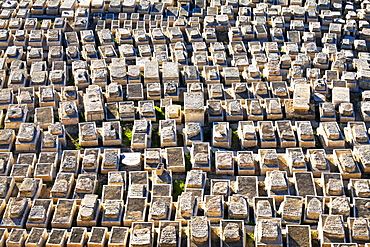 Jewish cemetery, Mount of Olives, Jerusalem, Israel, Middle East