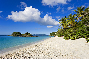 The world famous beach at Trunk Bay, St. John, U.S. Virgin Islands, West Indies, Caribbean, Central America