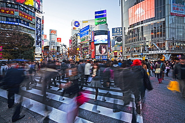 Shibuya Crossing, crowds of people crossing the intersection in the centre of Shibuya, Tokyo, Honshu, Japan, Asia 