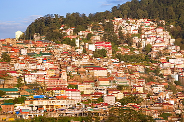 Shimla, Himachal Pradesh, India, Asia